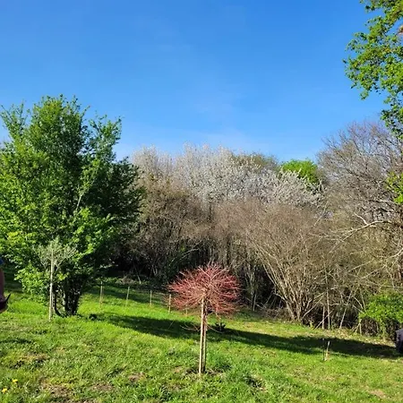 Bed & Breakfast Petite Maison Dans Les Bois Villefranque (Hautes-Pyrenees)