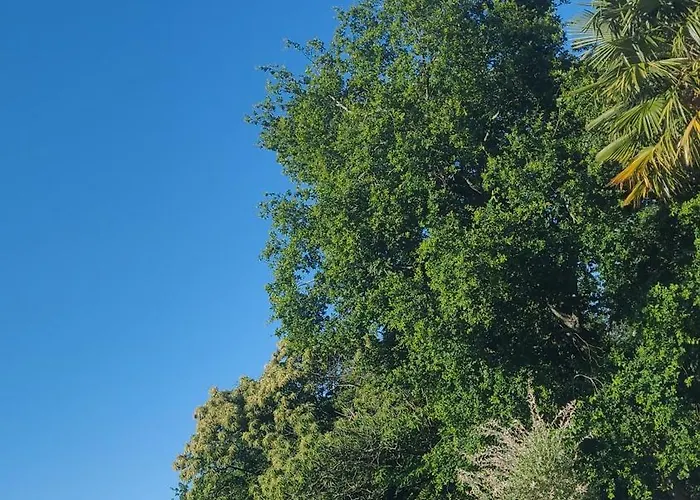 Petite Maison Dans Les Bois Bed & Breakfast