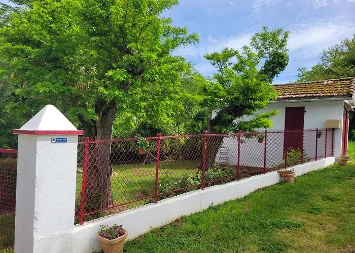 Petite Maison Dans Les Bois Bed & Breakfast Villefranque (Hautes-Pyrenees)