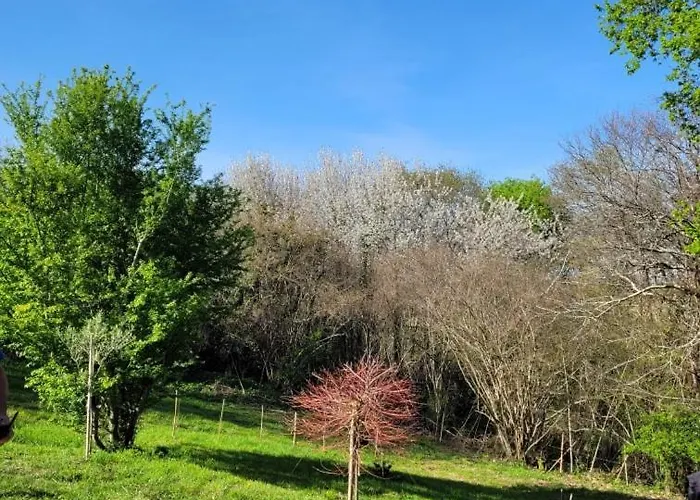 Bed & Breakfast Petite Maison Dans Les Bois Villefranque (Hautes-Pyrenees)