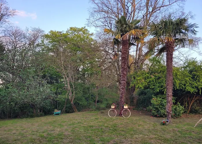 Bed & Breakfast Petite Maison Dans Les Bois *